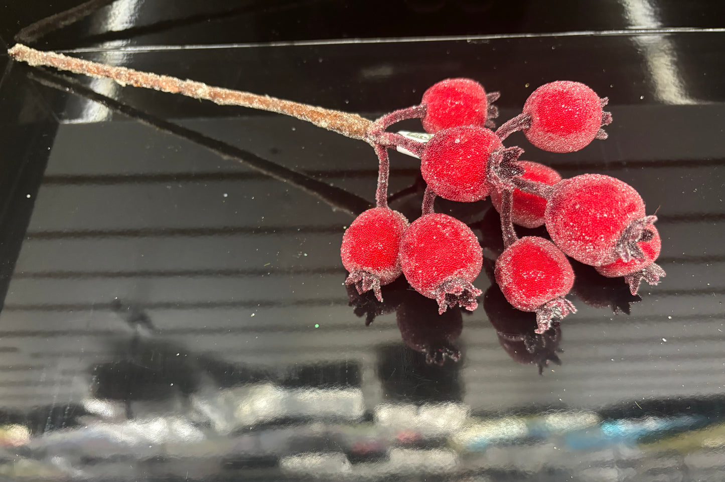 Beaded Rosehips
